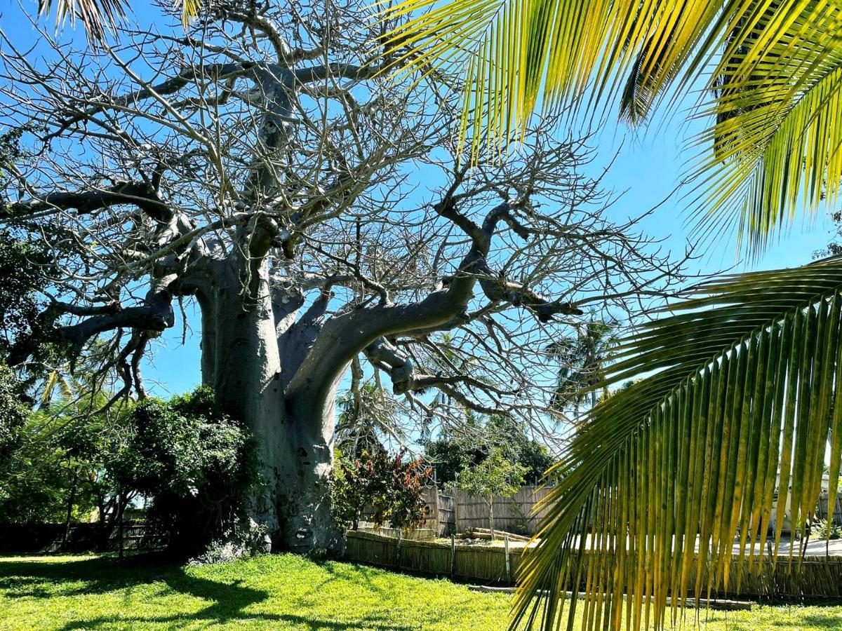 Baobab Beach Vilanculos Ngoại thất bức ảnh